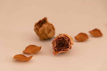 バラのドライフラワー