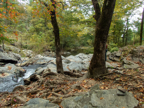 Above ground tree roots makes an interesting scene by a peaceful river in Arkansas. A perfect spot for fresh air and relaxation.