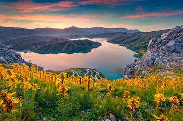 Fantastic sunrise on Bovilla Lake, near Tirana city located. Spectacular spring landscape with blooming yellow flowers. Perfect outdor scene of Albania, Europe. Beauty of nature concept background.. - obrazy, fototapety, plakaty