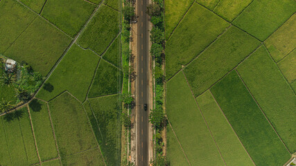 Beautiful roads and rice fields in Central Java, Indonesia