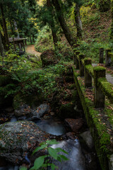 兵庫県⋆苔むす吉滝風景
