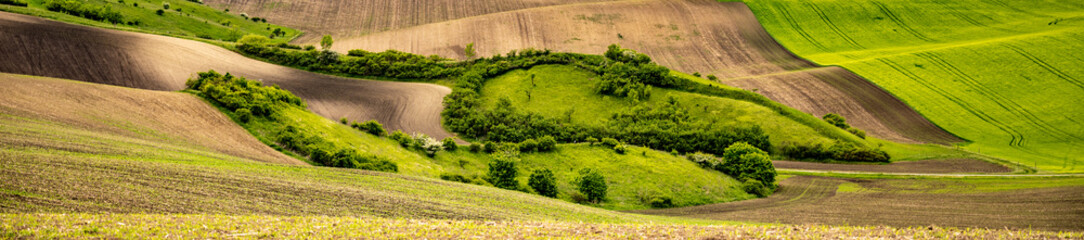 Naklejka premium Wavy agricultural field of Moravian Tuscany. Czech Repulbic