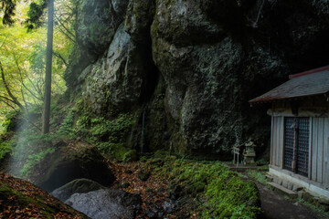 兵庫県⋆苔むす吉滝風景
 - obrazy, fototapety, plakaty