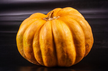Obraz premium Whole fresh orange big pumpkin on black background, closeup. Organic agricultural product, ingredients for cooking, healthy food vegan.