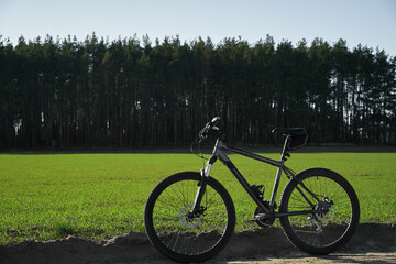 Outdoor biking during spring evening. Sport and adventure on the mountain bike. Green grass meadow and pine forest.