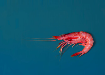 Famous prawn from Palamós, the best in the world.
