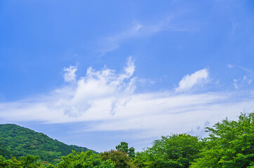 桜の新緑と背振の山