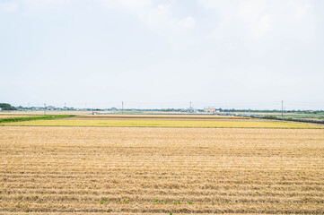 Fototapeta na wymiar 麦の収穫が終わった田園