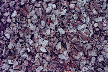Pine bark pieces texture.
