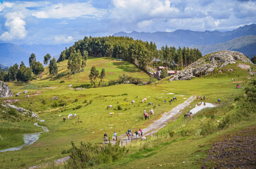 Outstanding view of a road with people and horses in middle of green fields near Qenqo...