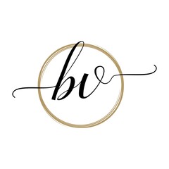 Simple stylish Initial Letter BV Logo designs Symbol