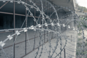 razor wire fence