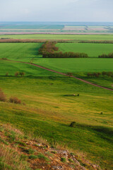 Grassy field and hills. Rural landscapes. Shot from above. Beautiful top view of sown fields.