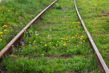 old rusty rails in the field, abandoned railway track, concept train gone, green grass on the train...