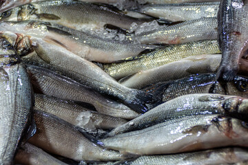 A stack of fresh Sardines on ice for sale on the street. Fresh sea fish on a market. Seafood market. 
