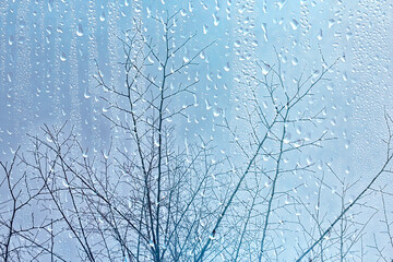 raindrops on glass, view through the window landscape autumn forest, park
