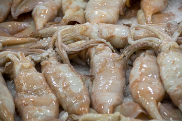 A stack of fresh cuttlefish in a fish market in Athens, Greece. Fresh Seafood on ice for sale