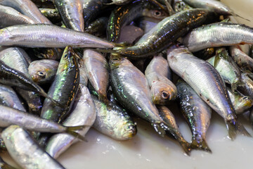 Sardines on ice for sale on the street. Fishmonger selling fish and seafood. Fresh sea fish on a market. Seafood market. 