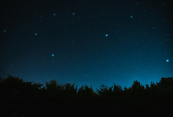 Fototapeta na wymiar starry night sky over the forest