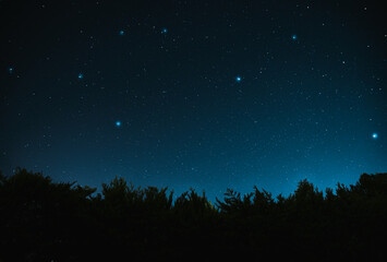 starry night sky over the forest