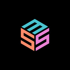 Hexagon logo with the letters MSS design