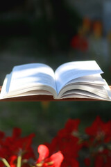 Open book in a garden. Selective focus.