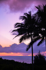 Purple clouds over the ocean with palm trees at sunset