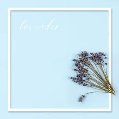 Fresh lavender flowers and free space for your decoration 
