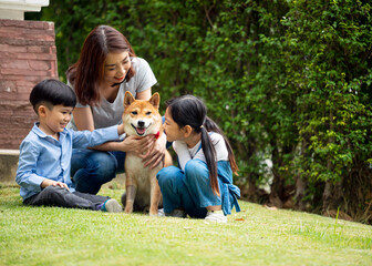 Asian mother and two kids sitting and playing together with Shiba inu dog in public park. happy...