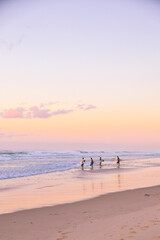 Early morning group of surfers in Australia catching waves at sunrise with pastel skies
