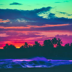 Rainbow sunset background with dark palm trees