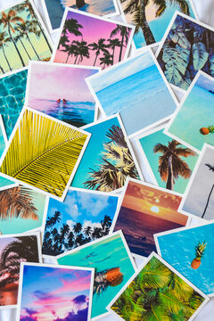 Collection of tourist photographs from tropical vacation with palm trees, pineapples and colorful sunsets