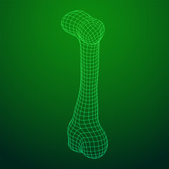 Anatomy Dog Bone object. Wireframe low poly mesh vector illustration