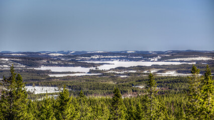 Lapland landscape seen from Amliden in Sweden