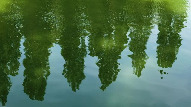 Cypress trees are reflected in the water of a canal with tranquil waves and sunray reflection. Shot in the Parc de Sceaux near Paris - France