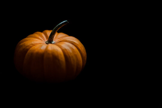 Pumpkin Or Orange Gourd Against Dramatic Black Background, October Halloween Celebration, Tanksgiving Day, Autumn Concept, Copy Space.