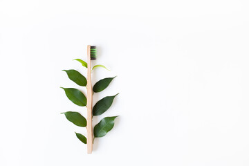 Wooden bamboo dental brush with green leaves on a white background. Minimalistic composition....