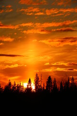 Golden orange sunset with clouds over forest silhouette