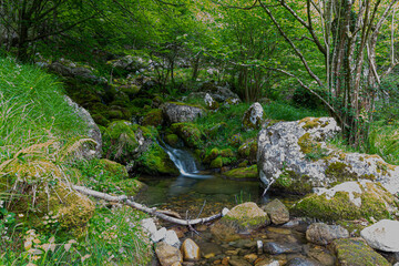 the waterfall of the source of the river asón