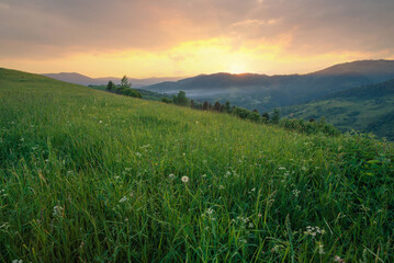 Fototapeta na wymiar Beautiful summer evening scenery of green Carpathian mountains. High grass hills under a beautiful sunset sky.