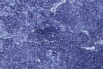 patterned abstract art design with dominant blue color