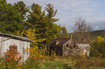 old farm house in the woods