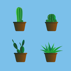 Set of Cactus