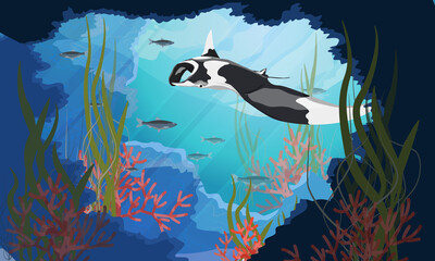 Obraz na płótnie Canvas A giant oceanic manta ray swims into an underwater cave with a tropical coral reef with algae and colorful tropical fish. Manta rays Mobula birostris. Realistic vector seascape