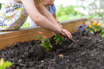 Two little girls planting in a raised garden bed
