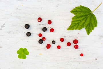 Naklejka na ściany i meble Berries red and black currants with strawberry and clover are scattered on the old wooden table
