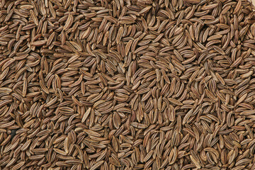 Scattered caraway seeds. Dried caraway seeds as food background. Pile of cumin seeds. Seasoning for food cooking of worldwide kitchen. Top close up view.