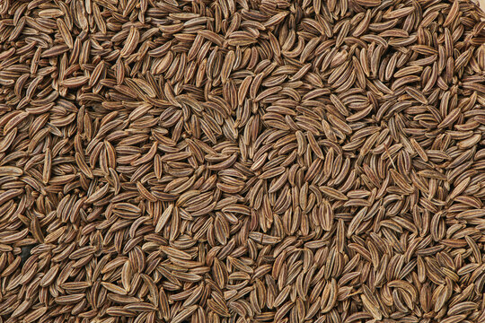 Scattered caraway seeds. Dried caraway seeds as food background. Pile of cumin seeds. Seasoning for food cooking of worldwide kitchen. Top close up view.