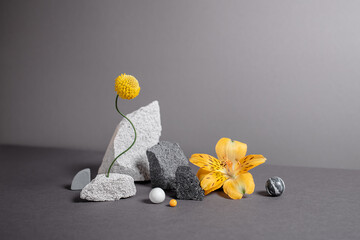 Abstract geometric figures with shadows on dark background. Minimalistic natural elements with varied shapes. Modern background with flowers and stones. Trendy colors of 2021 year - gray and yellow.