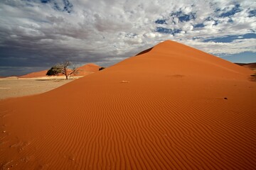 Fototapeta na wymiar Sand dunes in the salt pan of Sossusvlei. Namib Naukluft National Park. Namibia. Africa.